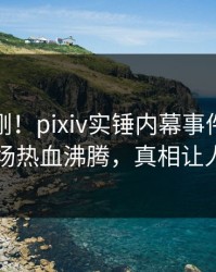 清晨刚刚！pixiv实锤内幕事件，神秘人现场热血沸腾，真相让人瞠目