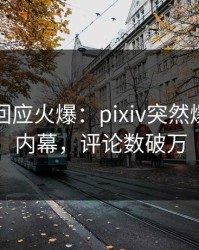 神秘人回应火爆：pixiv突然爆出丑闻内幕，评论数破万