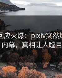 当事人回应火爆：pixiv突然爆出八卦内幕，真相让人瞠目