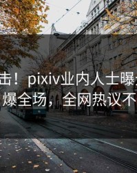 最新直击！pixiv业内人士曝光内幕，引爆全场，全网热议不断