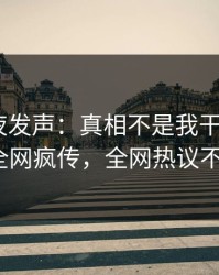明星深夜发声：真相不是我干的！pixiv全网疯传，全网热议不断