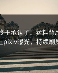 当事人终于承认了！猛料背后的故事在pixiv曝光，持续刷屏