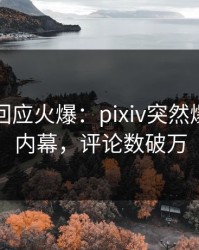 圈内人回应火爆：pixiv突然爆出八卦内幕，评论数破万