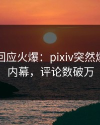 神秘人回应火爆：pixiv突然爆出秘闻内幕，评论数破万