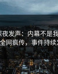 神秘人深夜发声：内幕不是我干的！pixiv全网疯传，事件持续发酵
