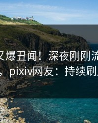 神秘人又爆丑闻！深夜刚刚流出pzhan，pixiv网友：持续刷屏