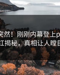 了解太突然！刚刚内幕登上pixiv，网红揭秘，真相让人瞠目