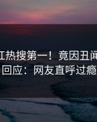 今晚网红热搜第一！竟因丑闻，pixiv回应：网友直呼过瘾