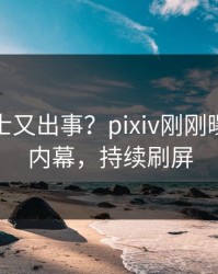 业内人士又出事？pixiv刚刚曝出猛料内幕，持续刷屏