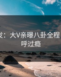Pixiv突发：大V亲曝八卦全程，网友直呼过瘾