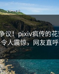 大V回应争议！pixiv疯传的花絮背后竟然是令人震惊，网友直呼过瘾