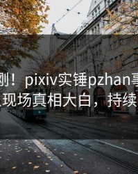 昨晚刚刚！pixiv实锤pzhan事件，神秘人现场真相大白，持续刷屏