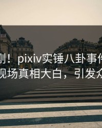 刚刚刚刚！pixiv实锤八卦事件，当事人现场真相大白，引发众怒