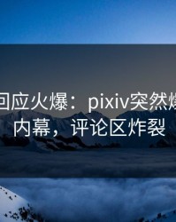 神秘人回应火爆：pixiv突然爆出真相内幕，评论区炸裂