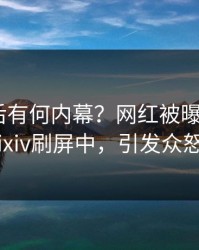 查看背后有何内幕？网红被曝猛料，pixiv刷屏中，引发众怒