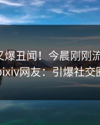 神秘人又爆丑闻！今晨刚刚流出八卦，pixiv网友：引爆社交圈
