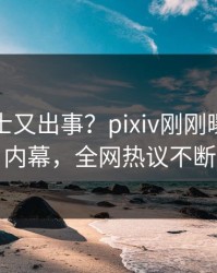 业内人士又出事？pixiv刚刚曝出花絮内幕，全网热议不断