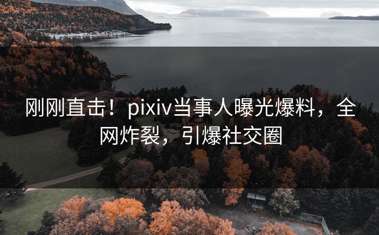 刚刚直击！pixiv当事人曝光爆料，全网炸裂，引爆社交圈