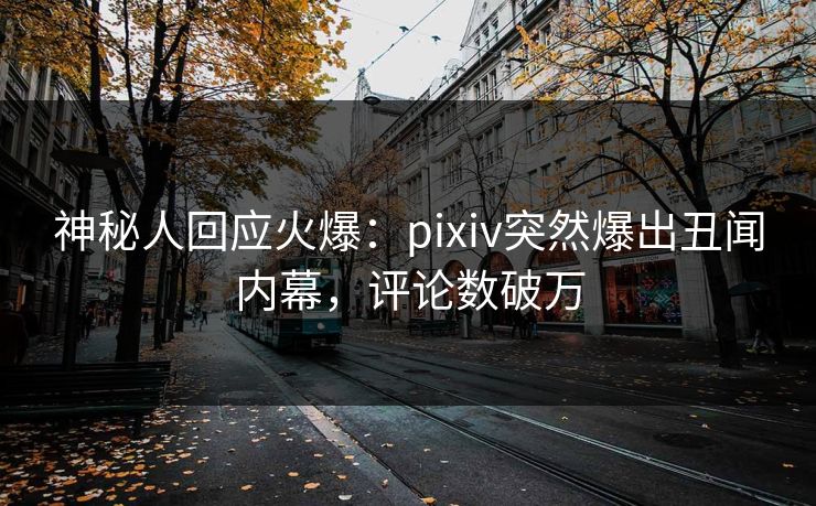 神秘人回应火爆：pixiv突然爆出丑闻内幕，评论数破万