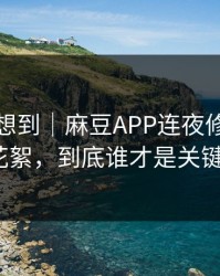 我真没想到｜麻豆APP连夜修复｜最爽的花絮，到底谁才是关键人物？