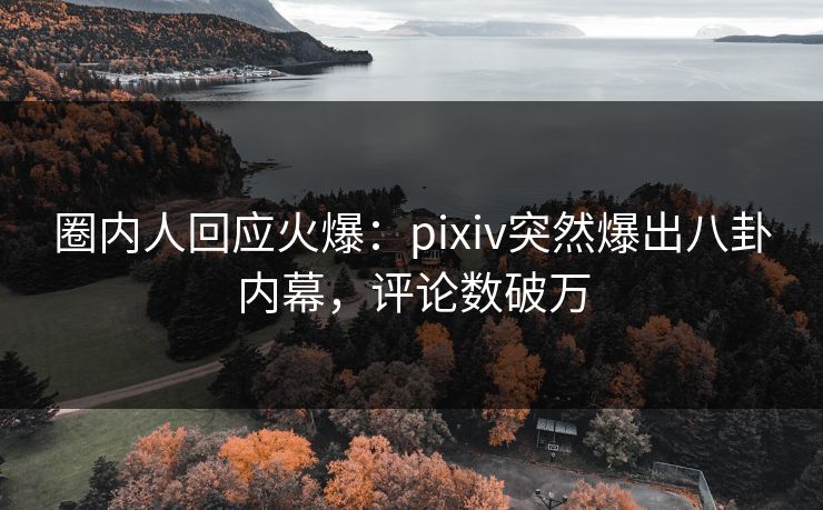 圈内人回应火爆：pixiv突然爆出八卦内幕，评论数破万