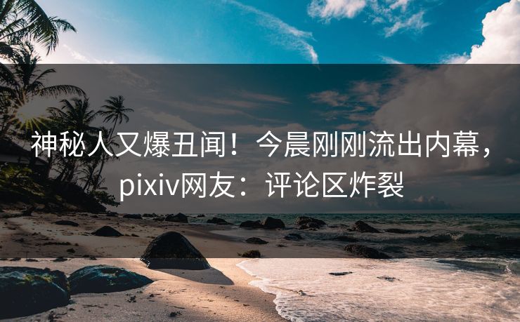 神秘人又爆丑闻！今晨刚刚流出内幕，pixiv网友：评论区炸裂