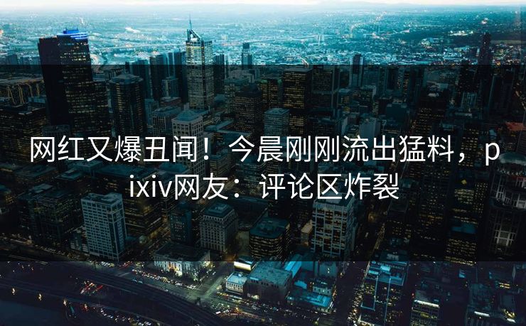 网红又爆丑闻！今晨刚刚流出猛料，pixiv网友：评论区炸裂